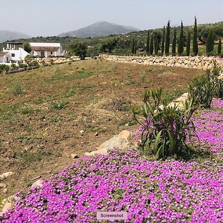 Finca Zayas Casa Rural & Guest Suites Periana المظهر الخارجي الصورة