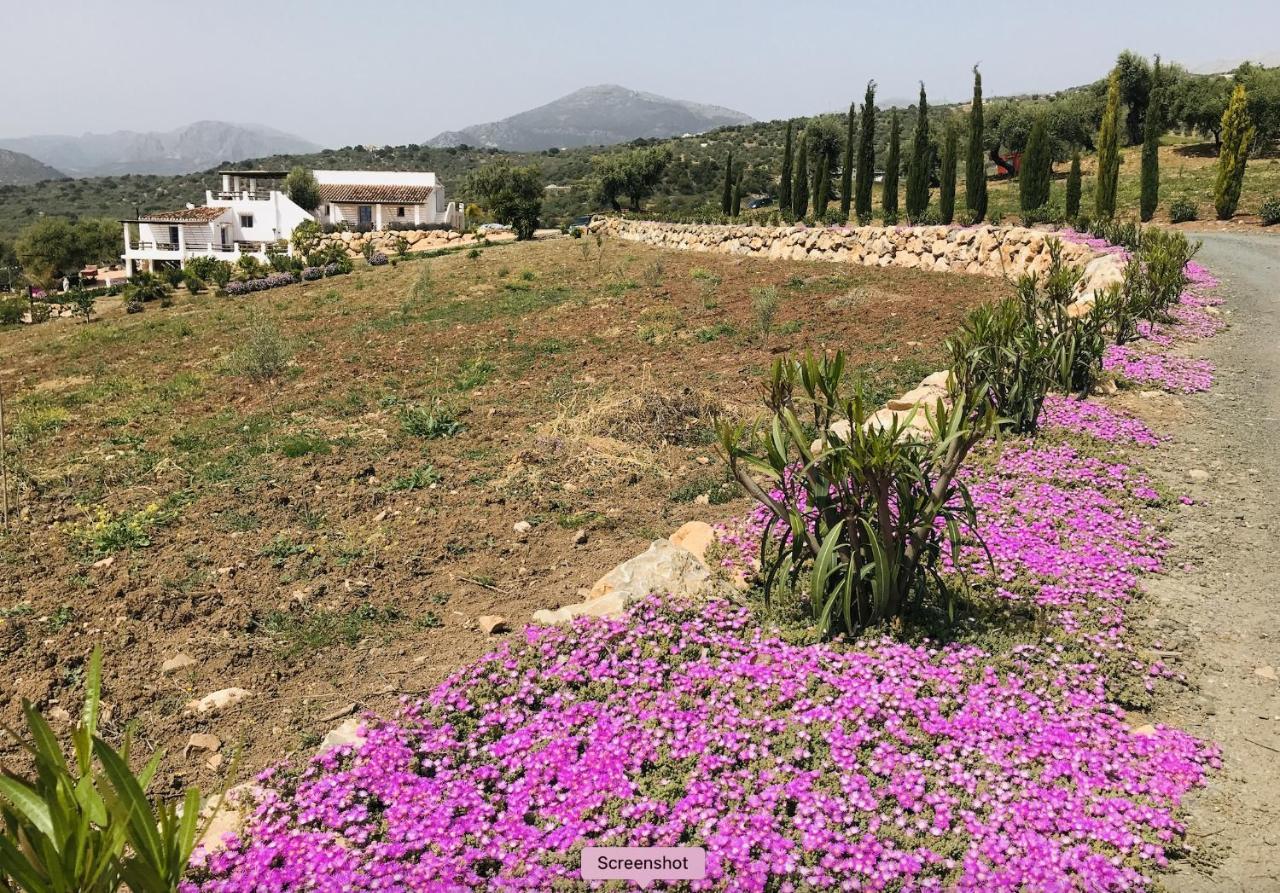Finca Zayas Casa Rural & Guest Suites Periana المظهر الخارجي الصورة