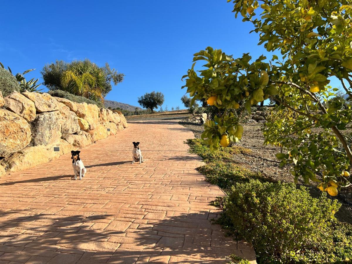 Finca Zayas Casa Rural & Guest Suites Periana المظهر الخارجي الصورة