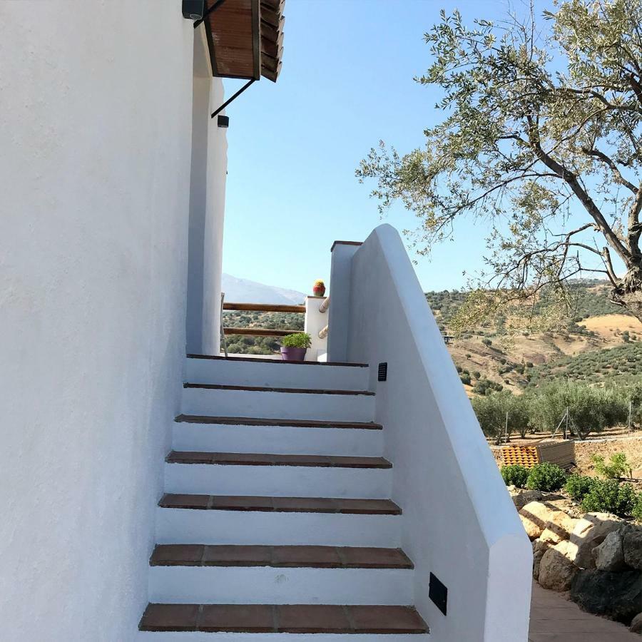 Finca Zayas Casa Rural & Guest Suites Periana المظهر الخارجي الصورة